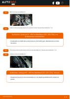 manual Volkswagen-Fox undefined pag5