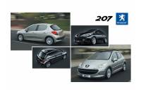 2011-2014 Peugeot 207/207 SW Manuel du propriétaire