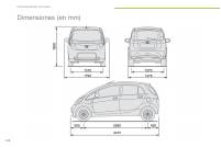 manual Peugeot-Ion 2011 pag124