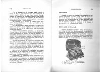 manual Ford-Falcon undefined pag089